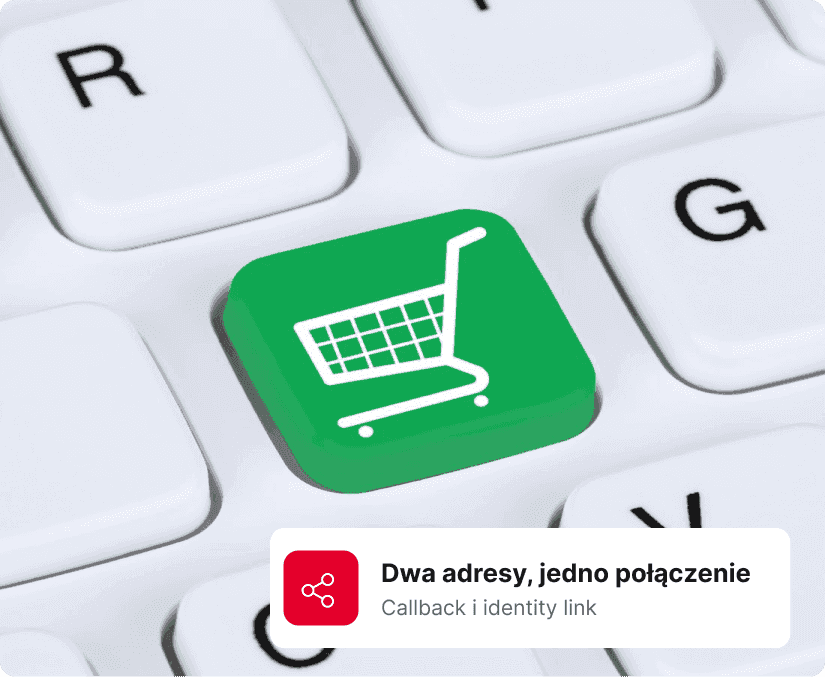 obsługa ecommerce na Magento2