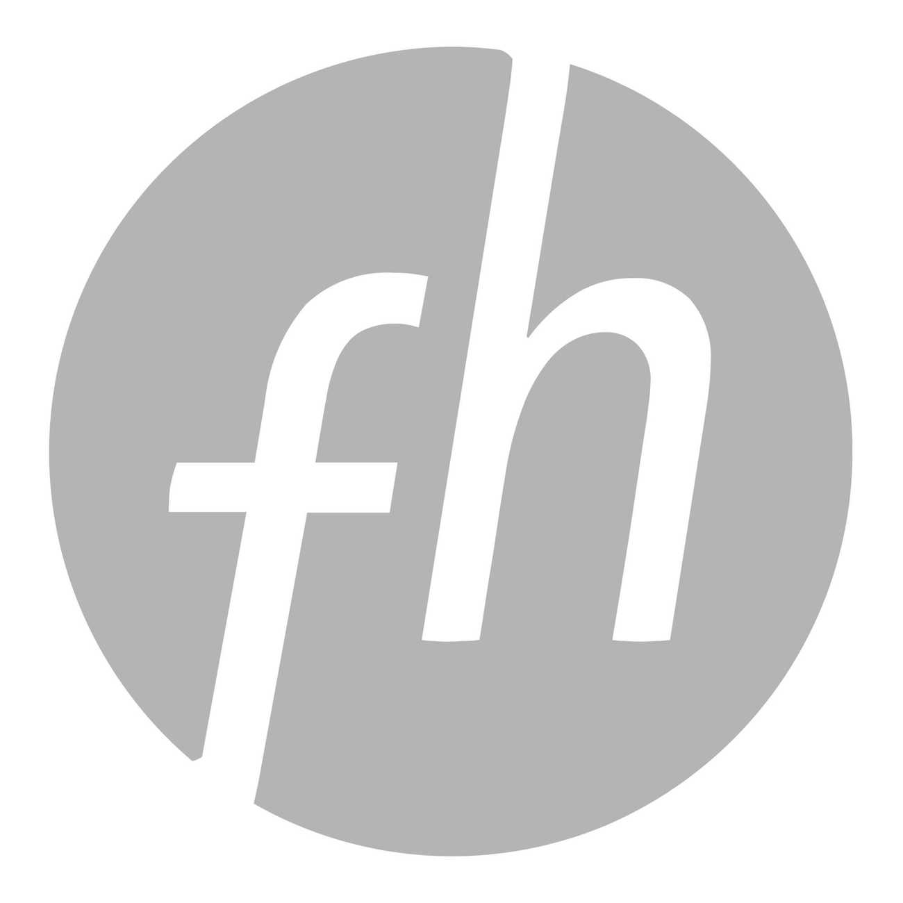 logo focus hotels